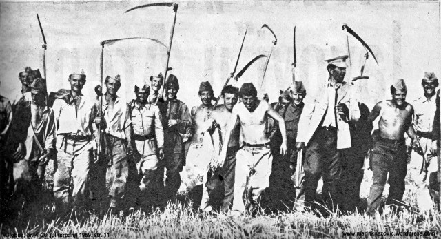 Vojnici u žetvi žita