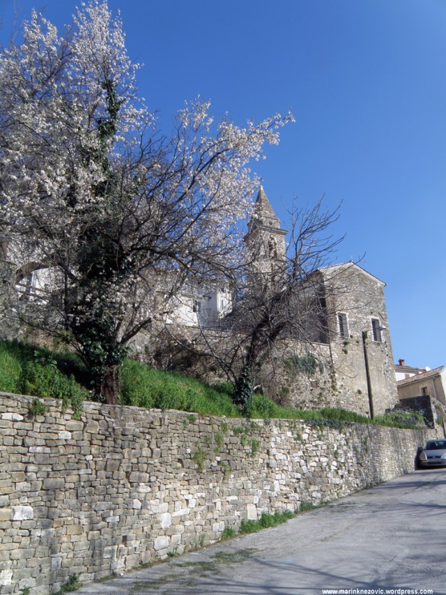 Motovun