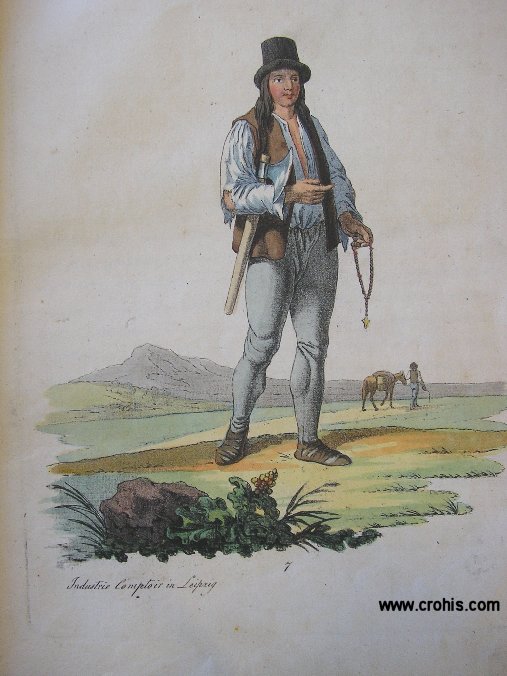 Ćići su po Hacquetu, potomci starih Japoda. Jezik im je mješavina iskvarenog "windischa" (slovenskog) s hrvatskim riječima. Ćići su snažni, dobro građeni, smeđe boje lica. Pastirski ih je život učinio otpornima na nevrijeme. Tako smeđa boja puti muškarca rezultat je izloženosti vremenu. Premda žive bijedno doživljavaju duboku starost što je po Hacquetu dokaz kako je obilje jela jednako štetno kao i njegov nedostatak. Lice Ćića je mršavo i divlje kao izraz strasti njegove duše, siromaštva i sirovosti.