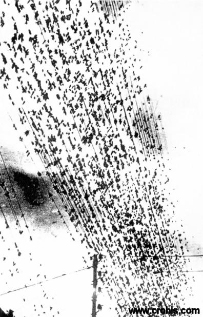 Skakavci na brzojavnim žicama. Katastrofe koje podsjećaju na biblijska prokletstva nisu bile rijetke ni 30-tih godina 20. st. Početkom 30-tih najezde skakavaca pustošile su obale južnog Sredozemlja, istočnu i zapadnu Afriku, Palestinu, Tursku kao i dio Balkana. Doprle su sve do Banata u današnjoj Srbiji (Vojvodini) od kuda je ova fotografija. 