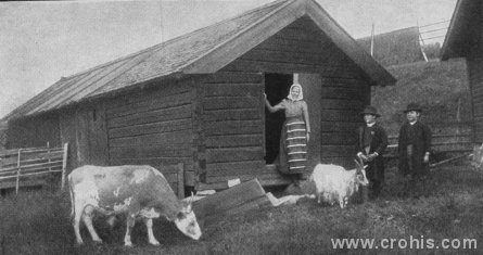 Švedsko selo. Početkom 20. st. seljaci čine najveći dio stanovništva Europe kao i stoljećima prije. To vrijedi, u većoj ili manjoj mjeri, i za zemlje koje danas doživljavamo kao tradicionalno industrijske, kao napr. Švedsku.