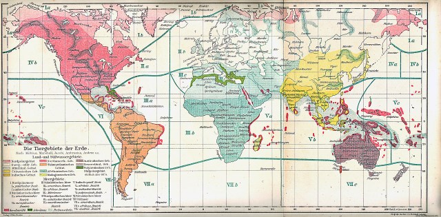 Životinjska karta svijeta