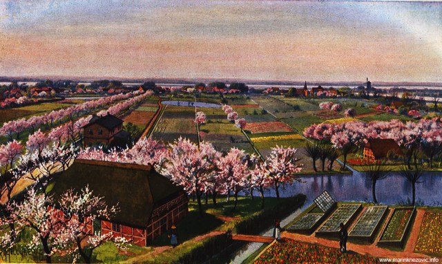 Močvare i istočni rukavac Elbe kod Hamburga / Blick auf die Elbmarschen und den östlichen Elbarm bei Hamburg