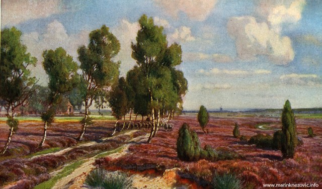 Livada na srednjem toku rijeke Luhe u Saskoj, Njemačka / Die Lünenburger Heide an der mittleren Luhe