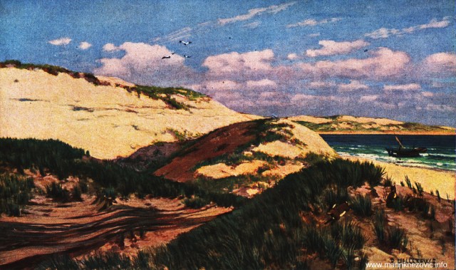 Dine otoka Sylta / Dünen auf der Insel Sylt