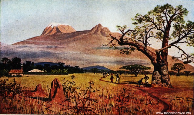 Kilimandžaro gledan iz ravnice Lendjoro / Der Kilimandscharo, von der Lendjoro-Steppe aus gesehen.