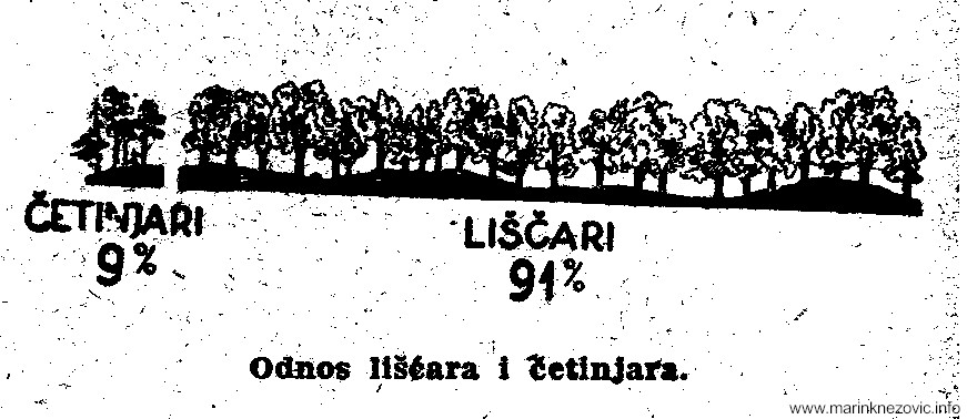 Udio zimzelenih i listopadnih šuma u Narodnoj Republici Hrvatskoj