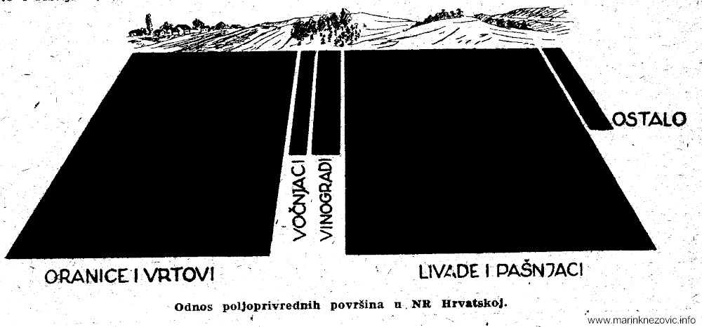 Odnos oranica i vrtova, voćnjaka, vinograda, livada i pašnjaka u Narodnoj Republici Hrvatskoj